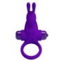 Imagen de Anillo Vibrador Conejo Para Pene Morado - Pretty Love Male 