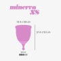 Imagen de Crushious - Copa Menstrual Minerva xs Con Bolsa y Limpiador de Juguetes 150 ml Crushious 