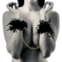 Imagen de Coquette Accessories - Coquette Chic Desire - Esposas Deluxe 