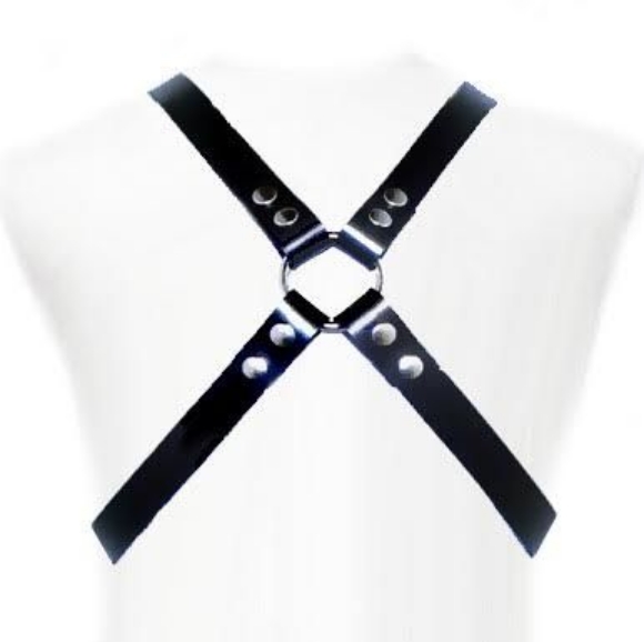 Imagen de Arnés de Cuero - Basic Harness 