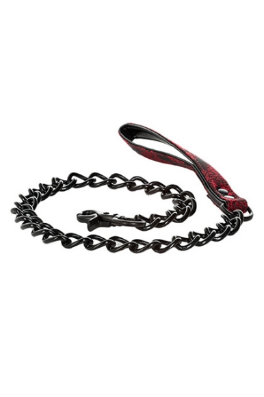 Imagen de Calexotics - Scandal Leash 