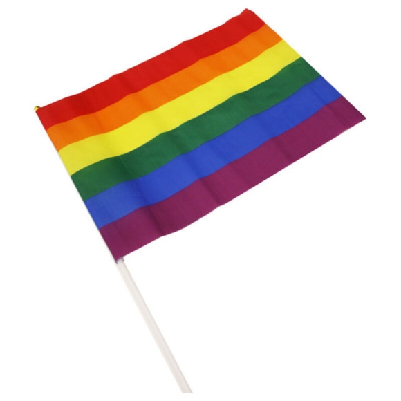 Imagen de Disney Pride - Banderin Grande Bandera Lgbt 